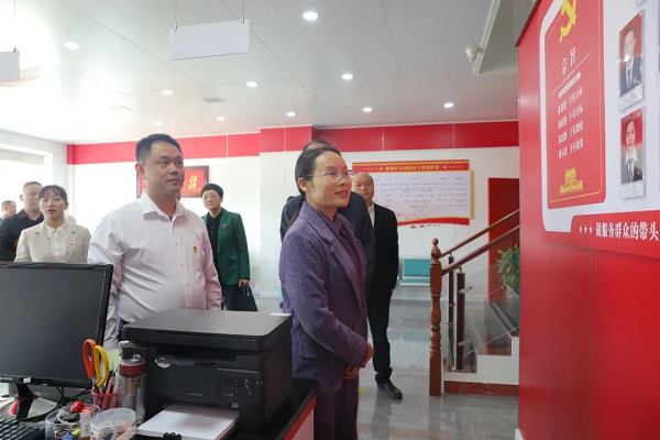 王燕调研软弱涣散党组织整顿提升工作