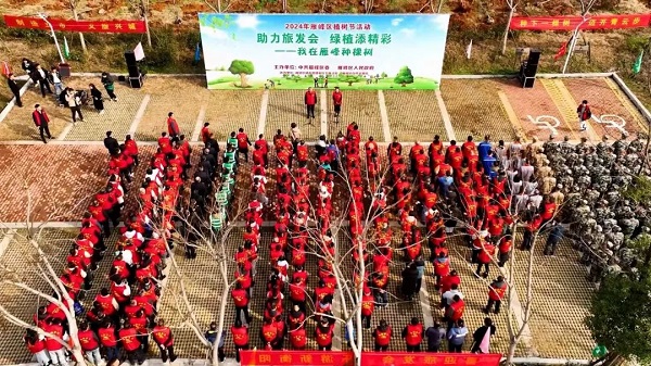 雁峰区2024年义务植树节活动