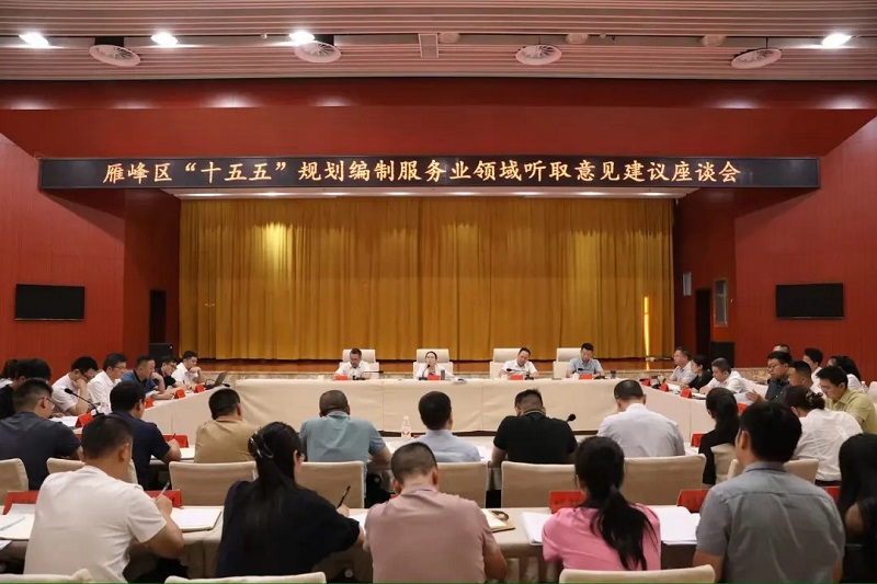 雁峰区召开“十五五”规划编制服务业领域听取意见建议座谈会
