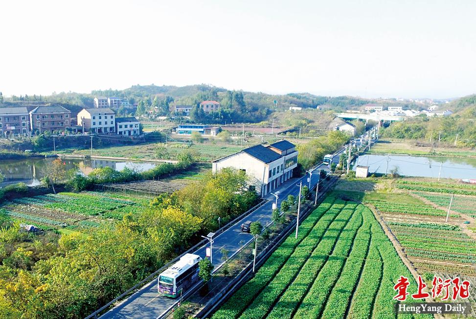 灵官庙村石鼓乡村迪斯尼好看好吃又好玩