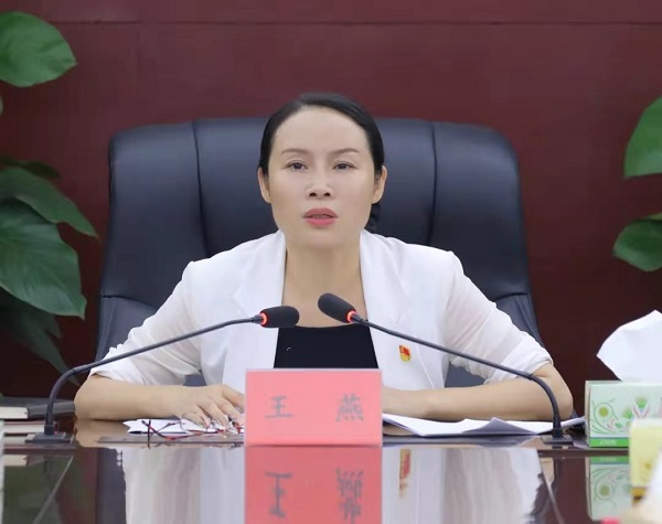 王燕主持召开区委常委会会议