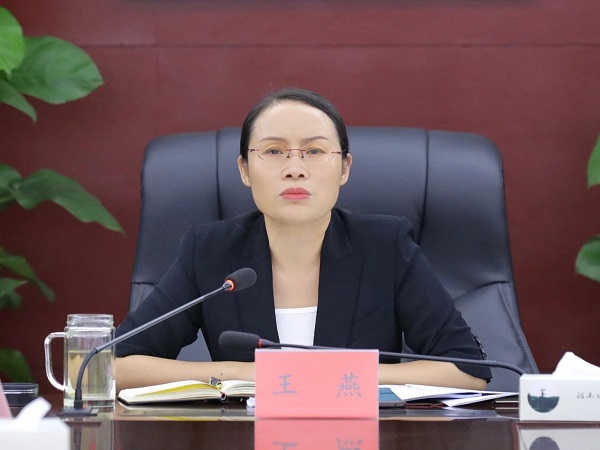 王燕主持召开区委常委会会议
