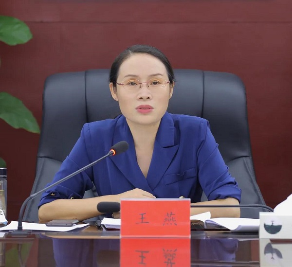 王燕主持召开区委常委会会议