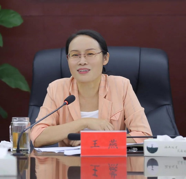 王燕主持召开区委常委会会议