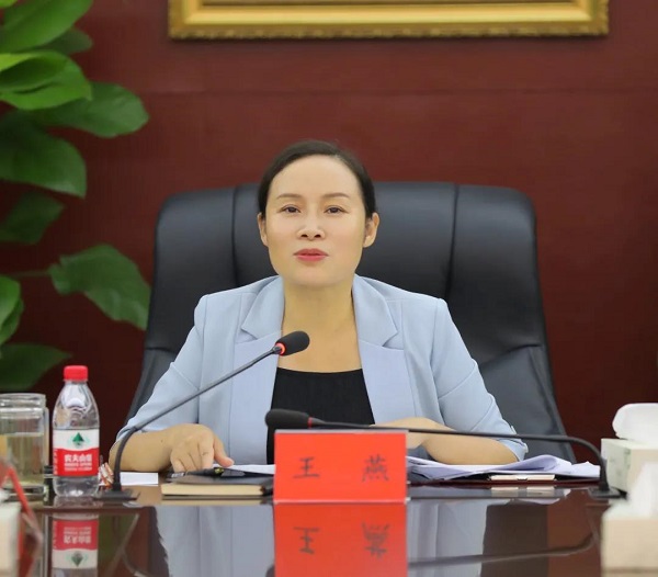 王燕主持召开区委常委会