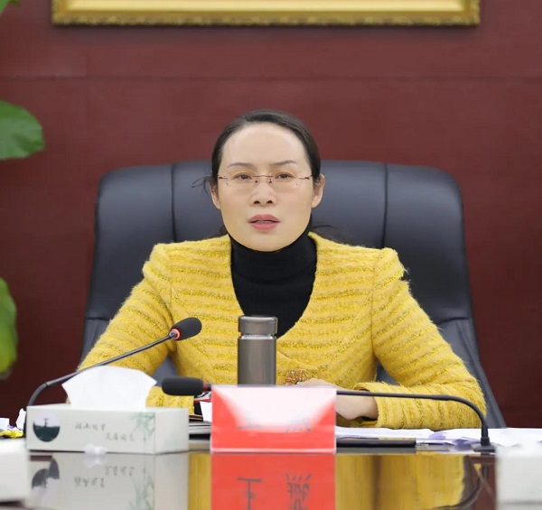 王燕主持召开区委常委会会议