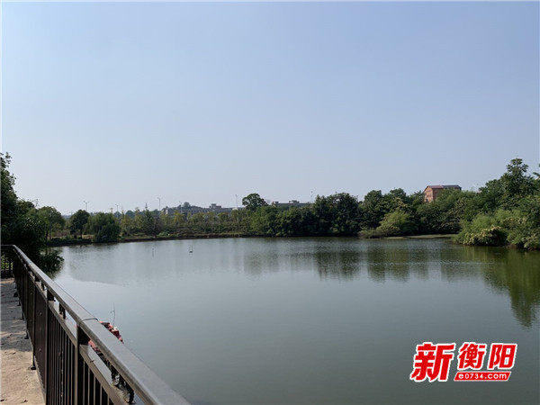 新变化|前进村:让"前进道路"上写满老百姓的幸福感-雁峰区人民政府