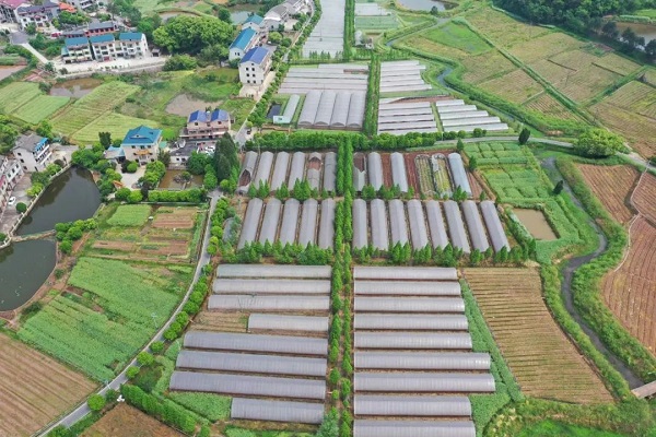 岳屏镇雁峰区蔬菜基地春耕春种忙全力保障菜篮子