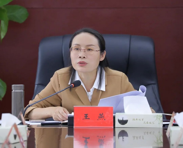 王燕主持召开区委常委会会议