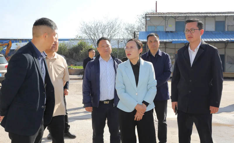 区委书记王燕以四不两直方式开展生态环保实地督查