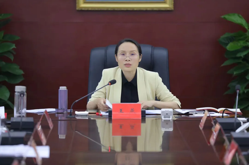 王燕主持召开五届区委第65次常委会会议