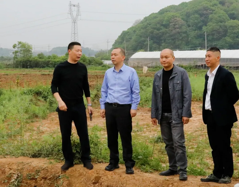 魏春生督导危旧房改造违法用地整改并开展巡田巡林工作