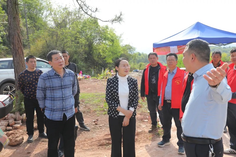 王燕开展巡林,巡田暨清明节前森林防灭火,文明祭扫工作